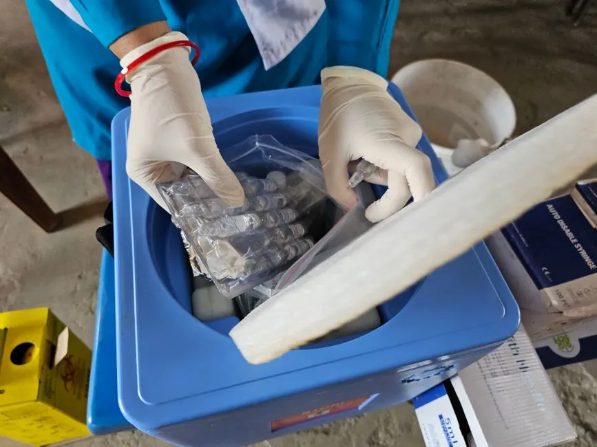 Pharmaceuticals and Vaccines: The Most Critical Cargo (Image Credits: Pexels)