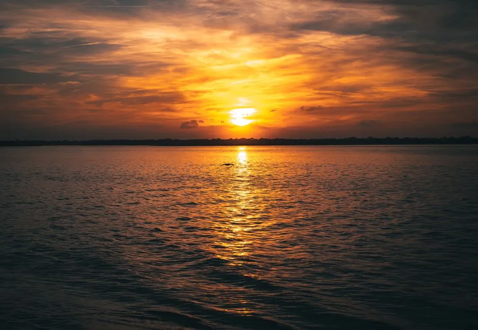 The Takeaway (Image Credits: Pexels)
