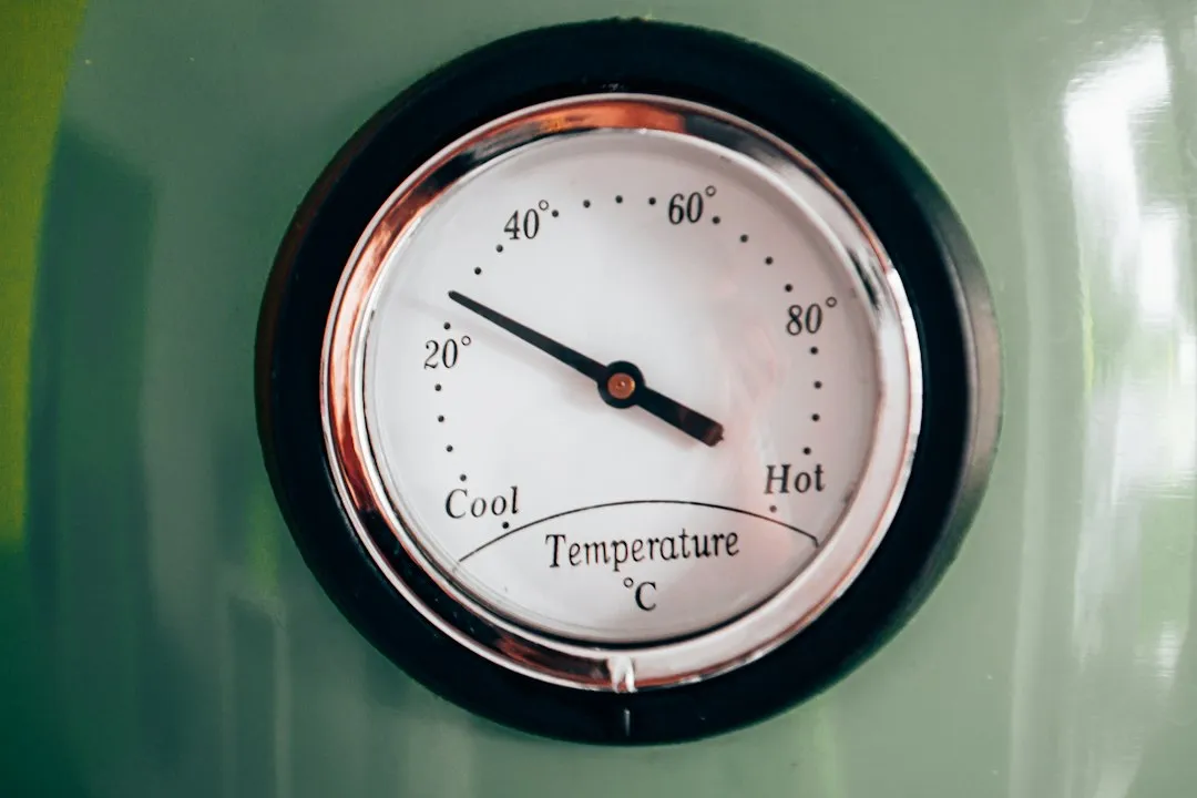 The Science Behind the Two-Hour Window (Image Credits: Unsplash)