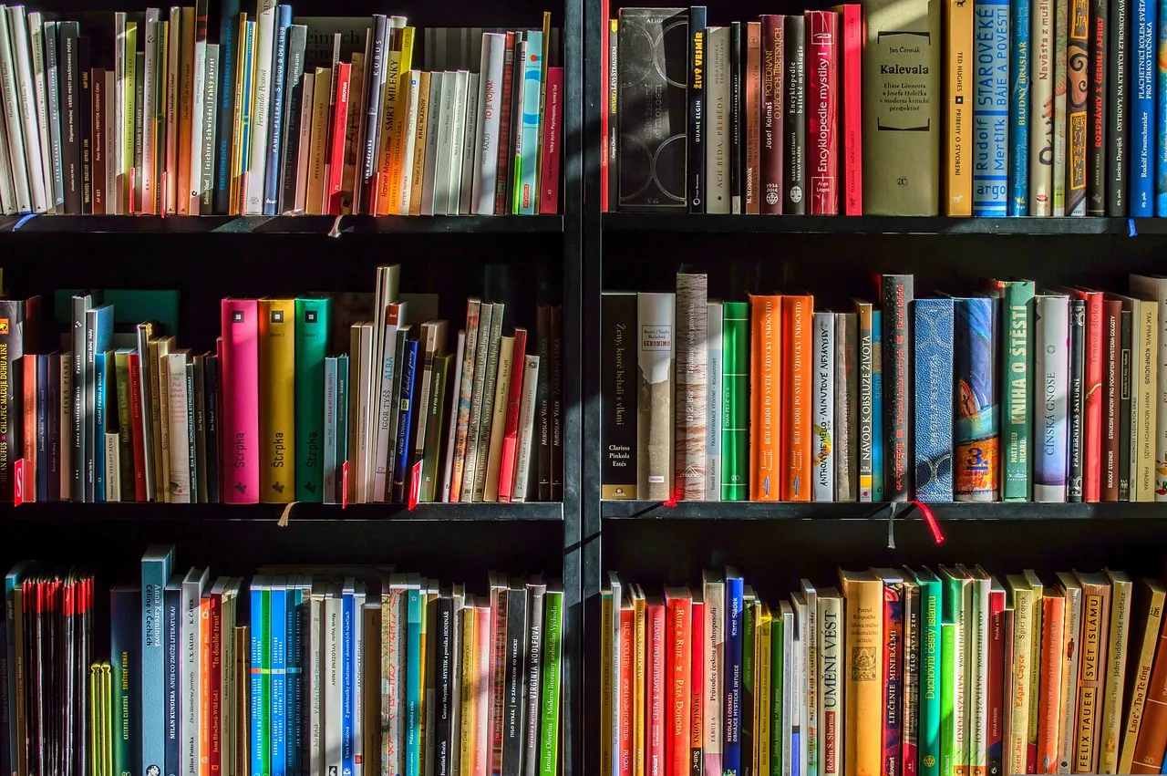 Why Bookstore Towns Are Worth Planning a Trip Around (Image Credits: Pixabay)