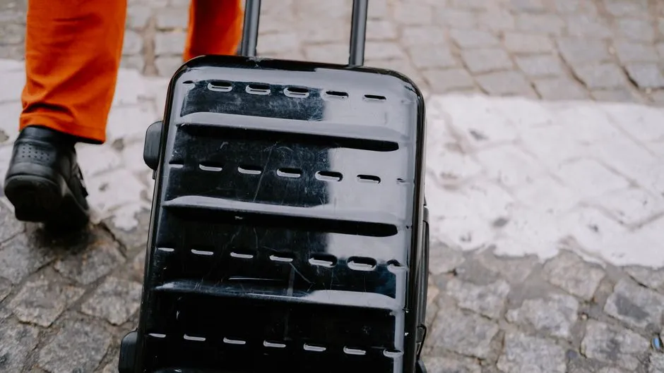 Why the Public Noticed and Followed Suit (Image Credits: Pexels)