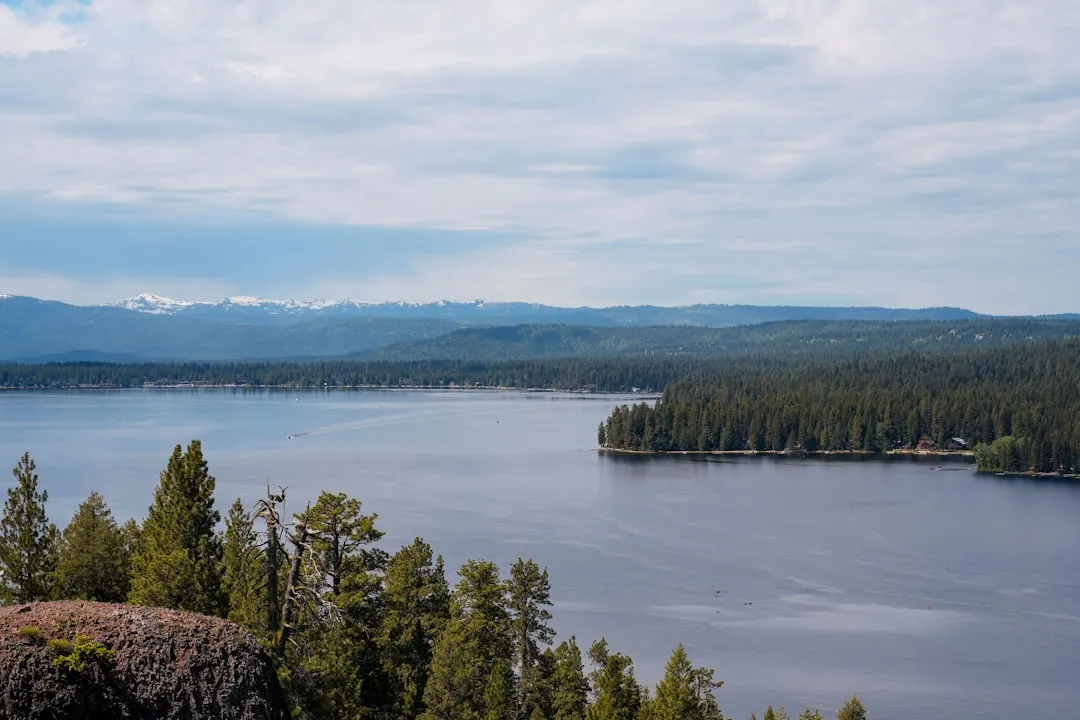Outdoor Education and the University of Idaho's Presence (Image Credits: Unsplash)