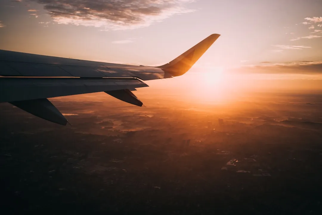 A National Phenomenon Built on Numbers (Image Credits: Unsplash)
