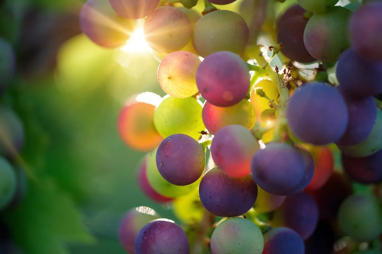 Oregon Finished Earlier Than Usual in 2025 (Image Credits: Pixabay)