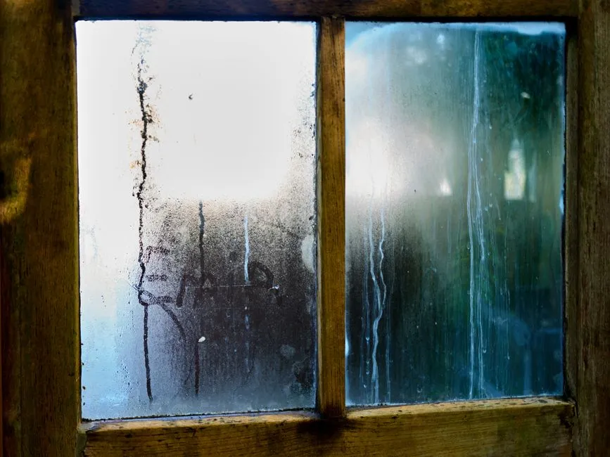 Low Humidity Makes Everything Feel Colder Than It Is (Image Credits: Pexels)