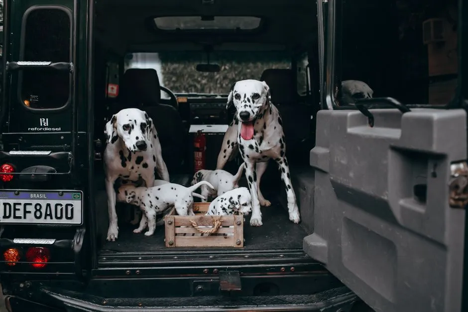 Live Animals: One of Aviation's Most Carefully Managed Loads (Image Credits: Pexels)