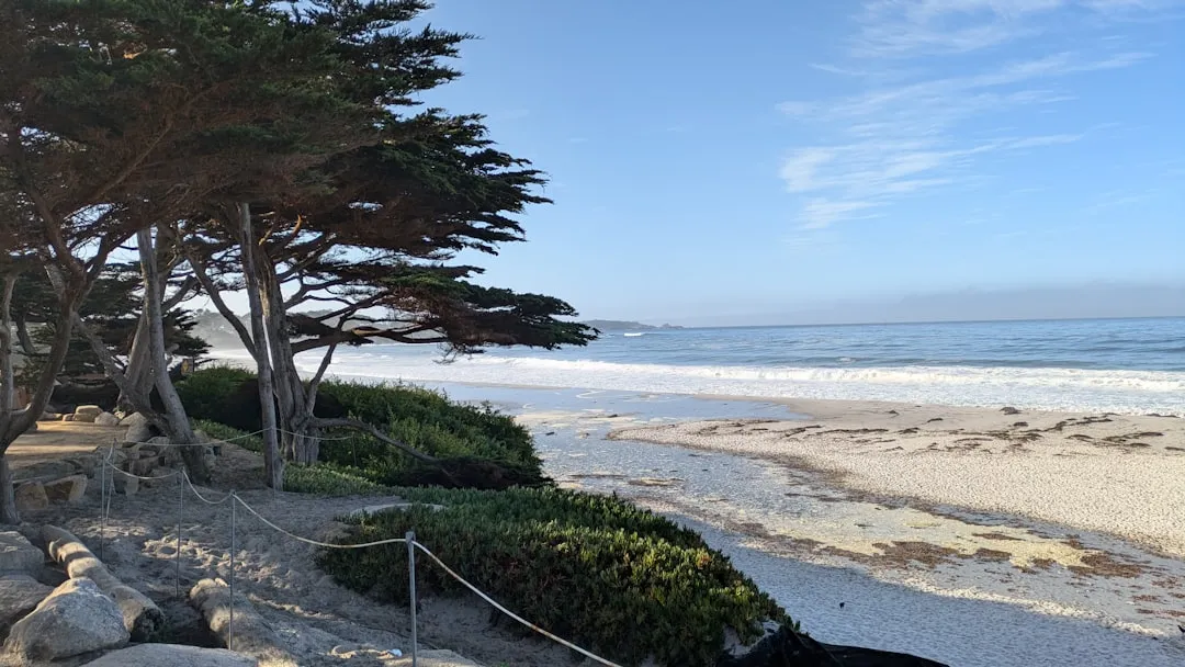 Carmel-by-the-Sea, California: The Gold Standard for Canine Hospitality (Image Credits: Unsplash)