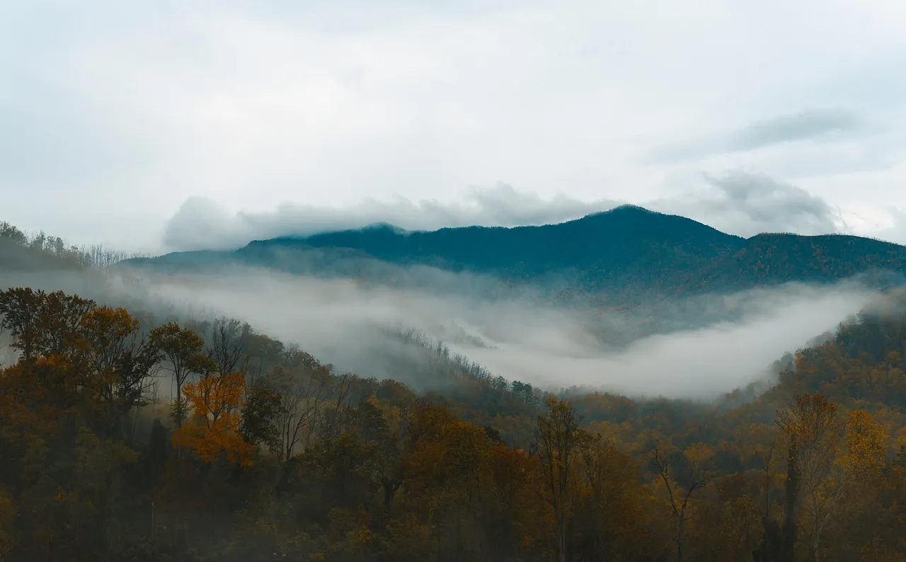 2. The Great Smoky Mountains, Tennessee - Winter's Best-Kept Timing Secret (Image Credits: Pixabay)