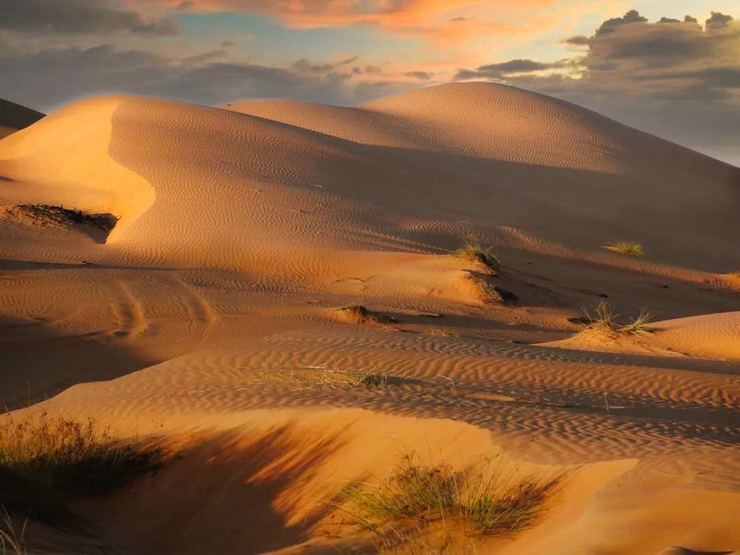 The Desert It Crosses (Image Credits: Unsplash)