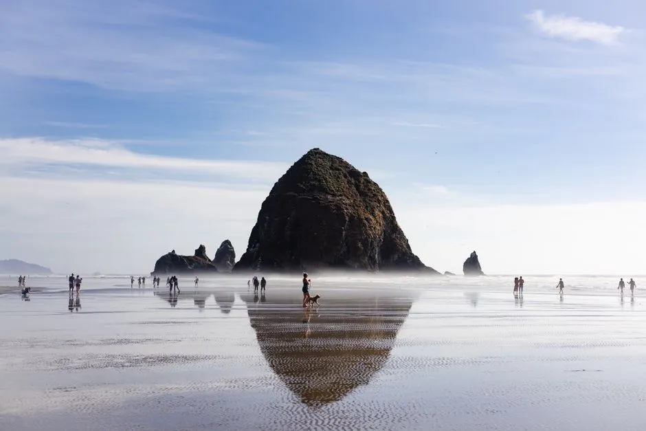 Understanding Minus Tides and How to Time Your Visit (Image Credits: Pexels)