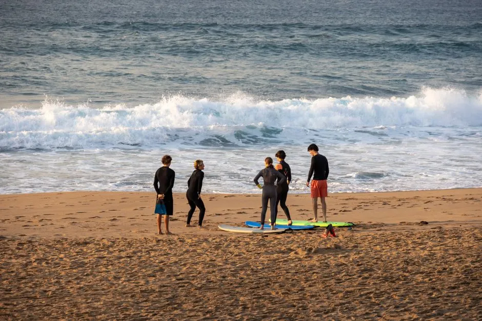 What Instructors Know That Tourists Don't (Image Credits: Pexels)