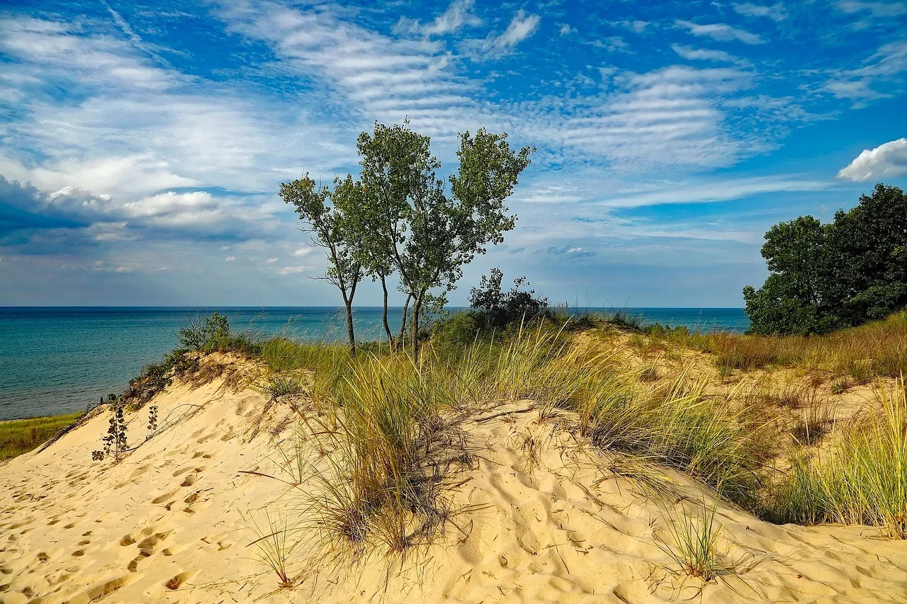 The Beaches: Quieter and More Varied Than You'd Expect (Image Credits: Pixabay)