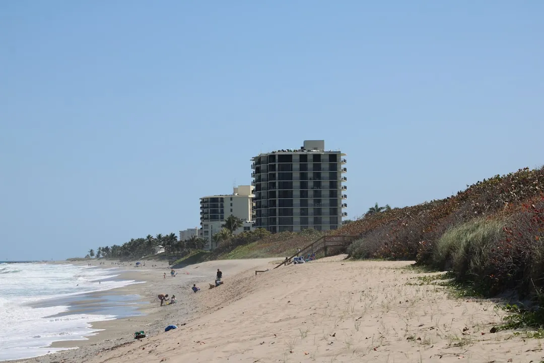 Jupiter, Florida: Where Dogs Are Practically Beach Royalty (Image Credits: Unsplash)