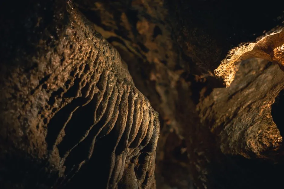 Round Spring Cave: A Cooler Summer Option (Image Credits: Pexels)