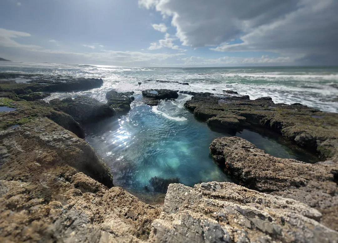 When to Visit for the Best Experience (Image Credits: Unsplash)