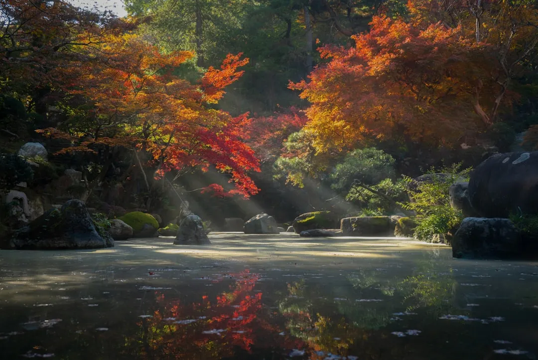3. Japan: Autumn Foliage and Fewer Tourist Pressures (Image Credits: Unsplash)