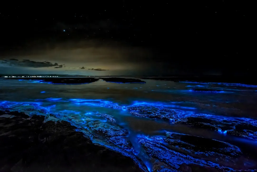What Actually Causes the Glow (Image Credits: Unsplash)