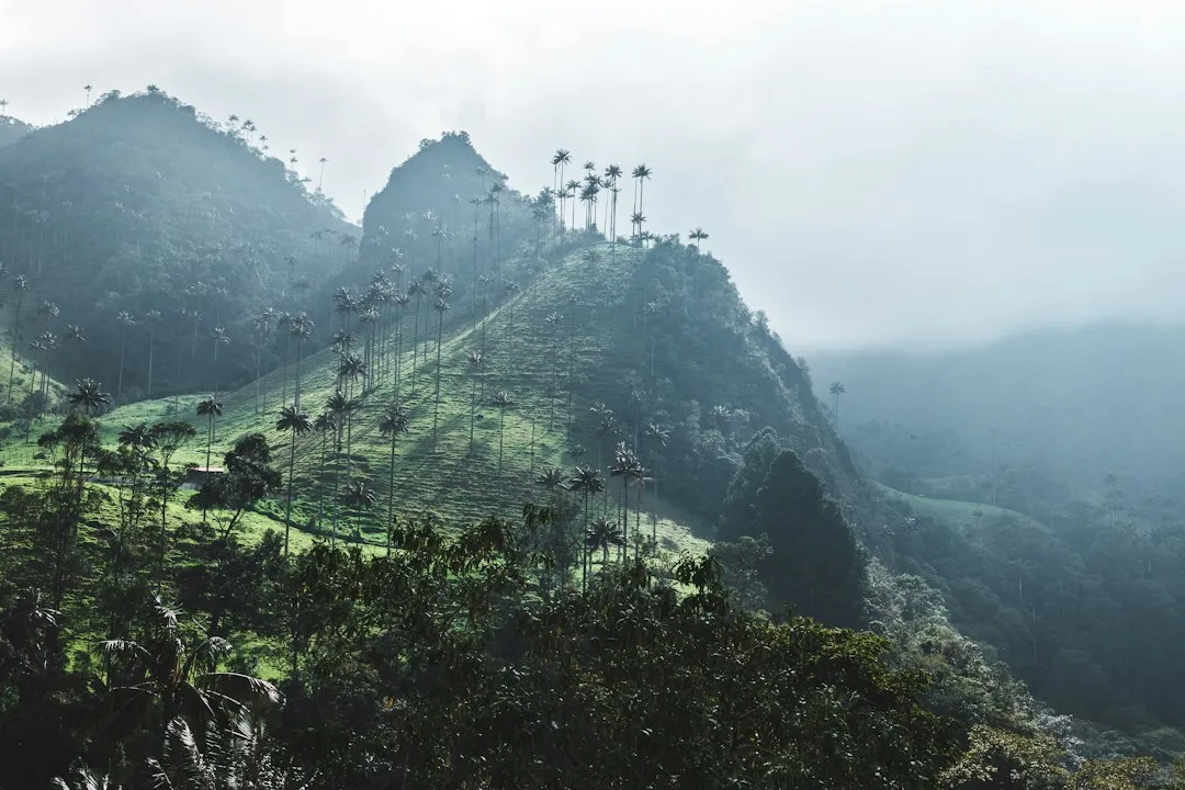 The Landscapes That Shift Constantly (Image Credits: Unsplash)