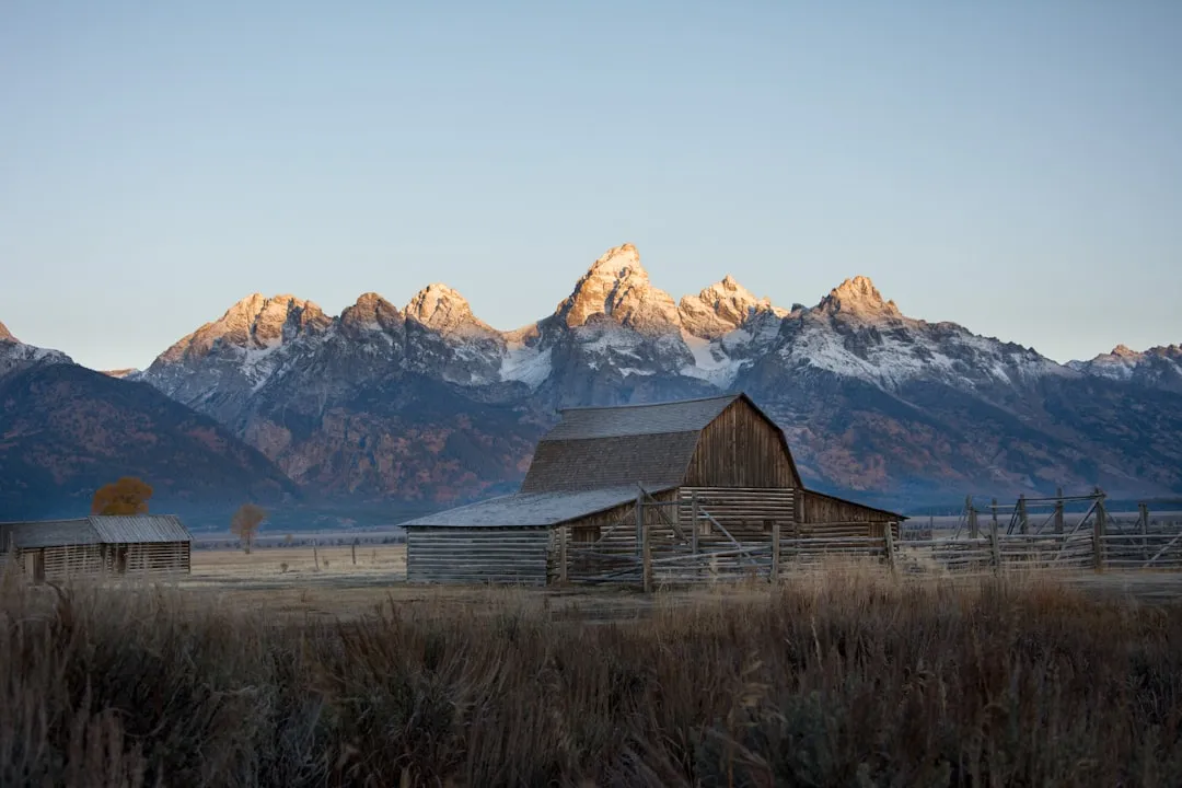 Grand Teton: Stripped Down to Its Essentials (Image Credits: Unsplash)