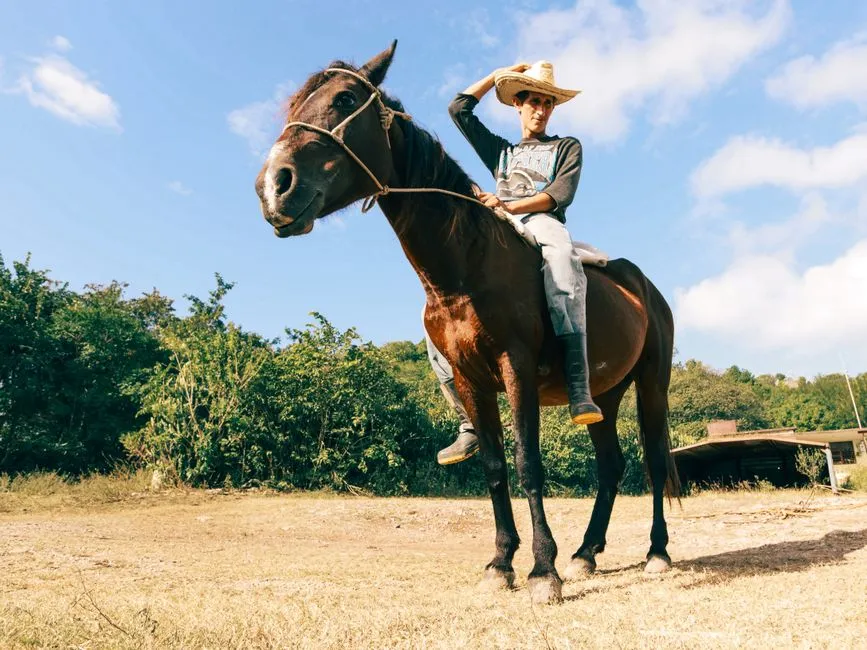 The Dude Ranch Industry Is Growing, and Wranglers Are Ready (Image Credits: Pexels)