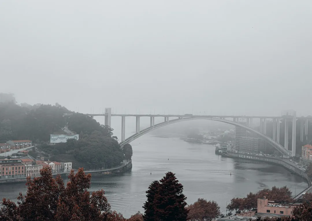 3. Massarelos: Parks, Panoramas, and Peaceful Rhythm (Image Credits: Unsplash)