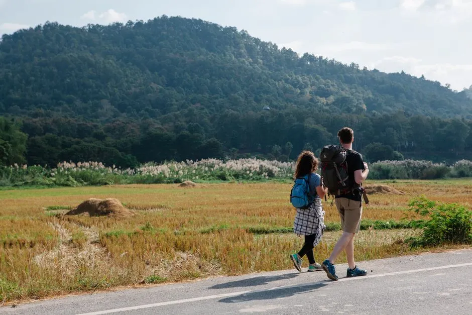 What "Slow-Morning Travel" Actually Means (Image Credits: Pexels)