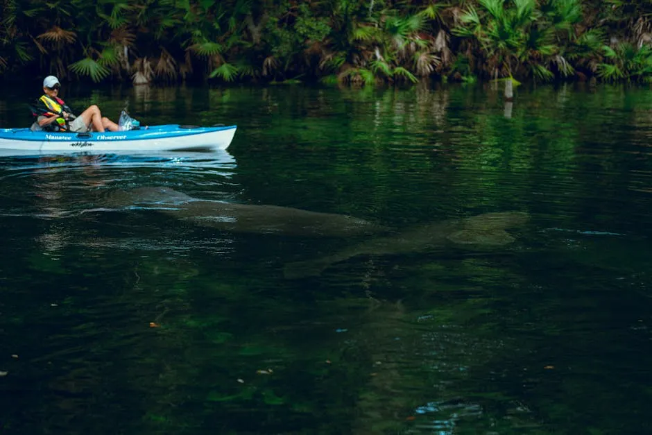 What to Expect When You Show Up (Image Credits: Pexels)