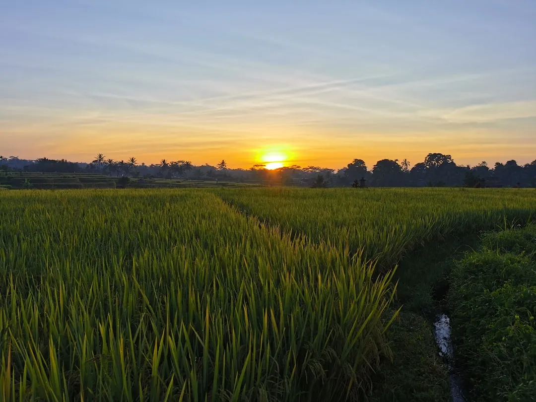 Practical Tips for an Early Morning Visit (Image Credits: Unsplash)