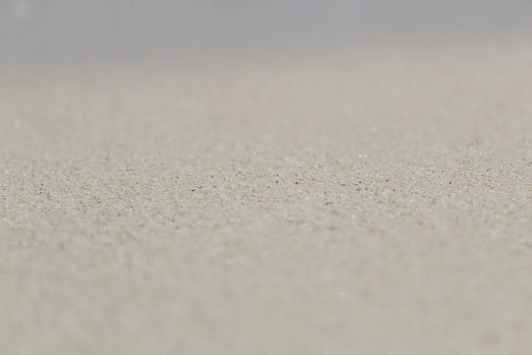 The Science Behind the Squeak (Image Credits: Unsplash)