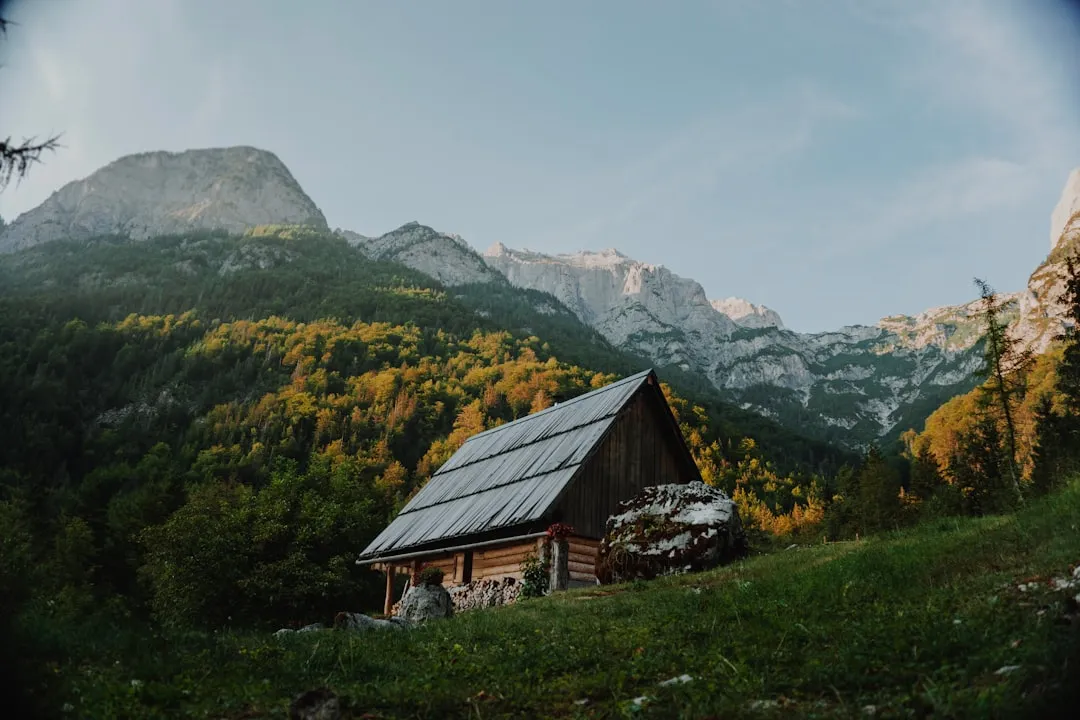 How To Rent A Luxury Mountain Cabin For Under $100 A Night This Fall