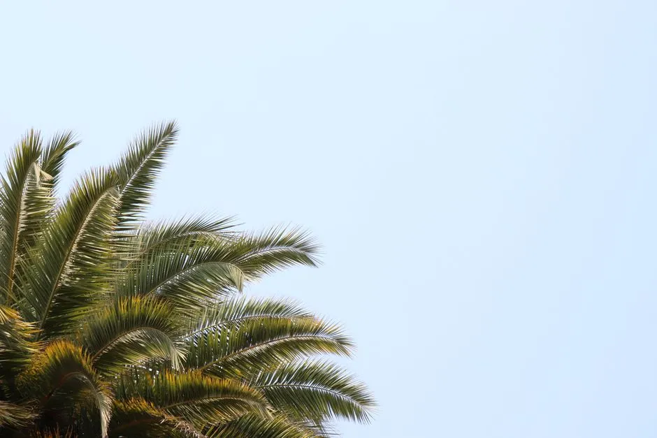 Mineral Springs and Genuine Wellness Culture (Image Credits: Pexels)