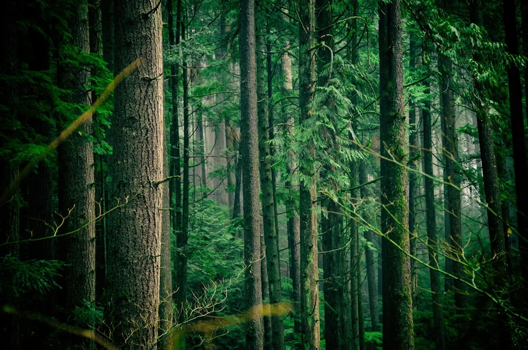 Green and Blue Spaces: Not All Nature Is Equal (Image Credits: Unsplash)