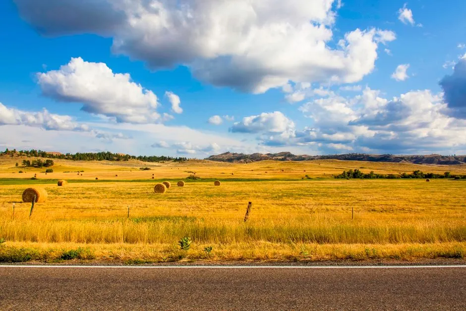 A View That Almost Disappeared (Image Credits: Pexels)