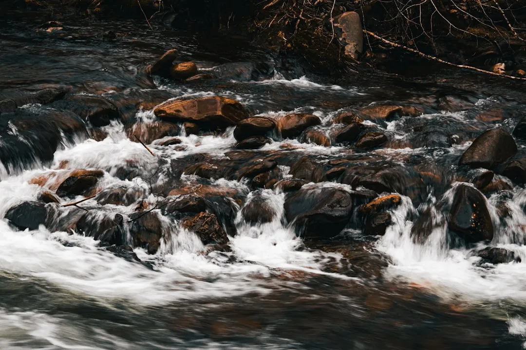 Respecting the Water Source Protects the Next Hiker's Bladder Too (Image Credits: Unsplash)