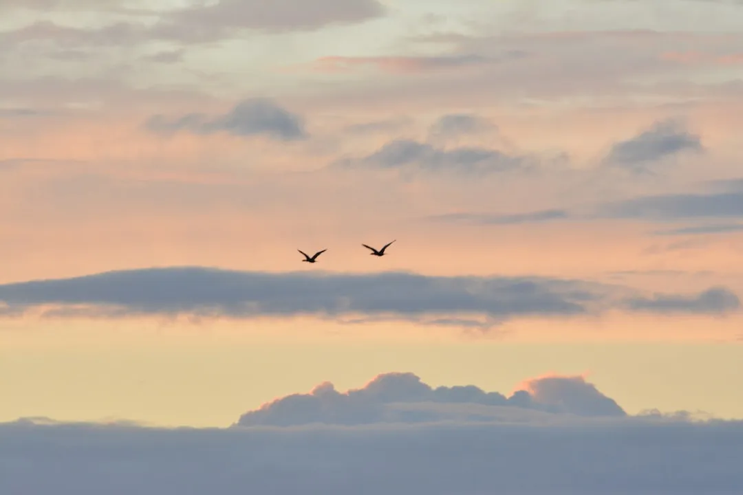 Early Morning Flights Carry a Real Statistical Advantage (Image Credits: Unsplash)