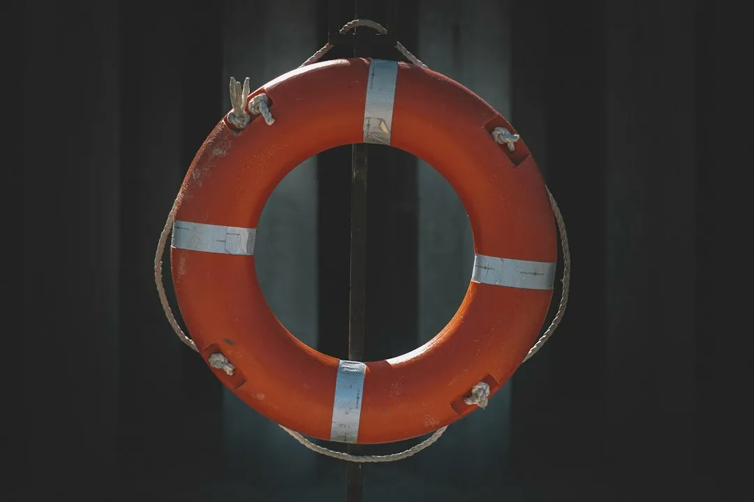 Oscar: Man Overboard (Image Credits: Unsplash)