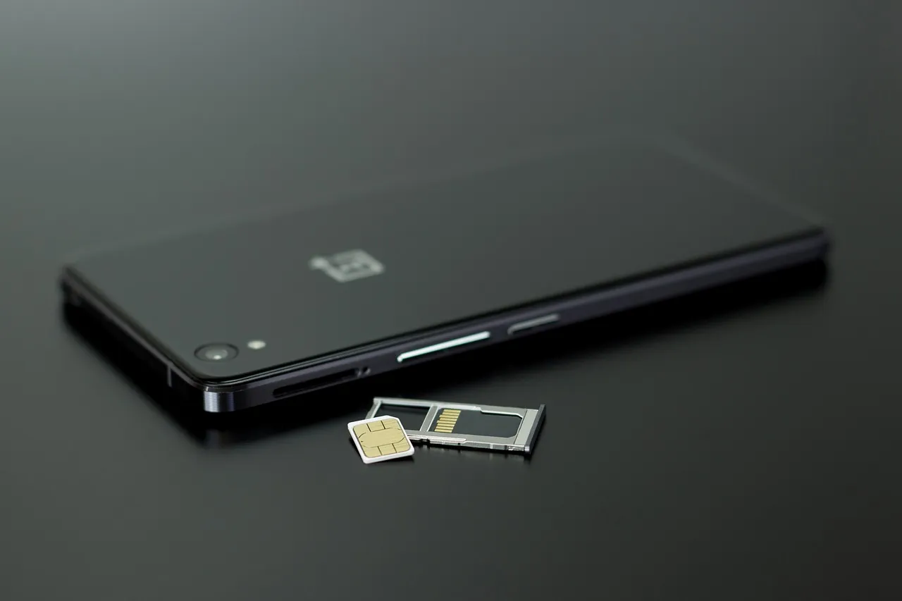 The SIM Card Isn't Seated Properly (Image Credits: Pixabay)