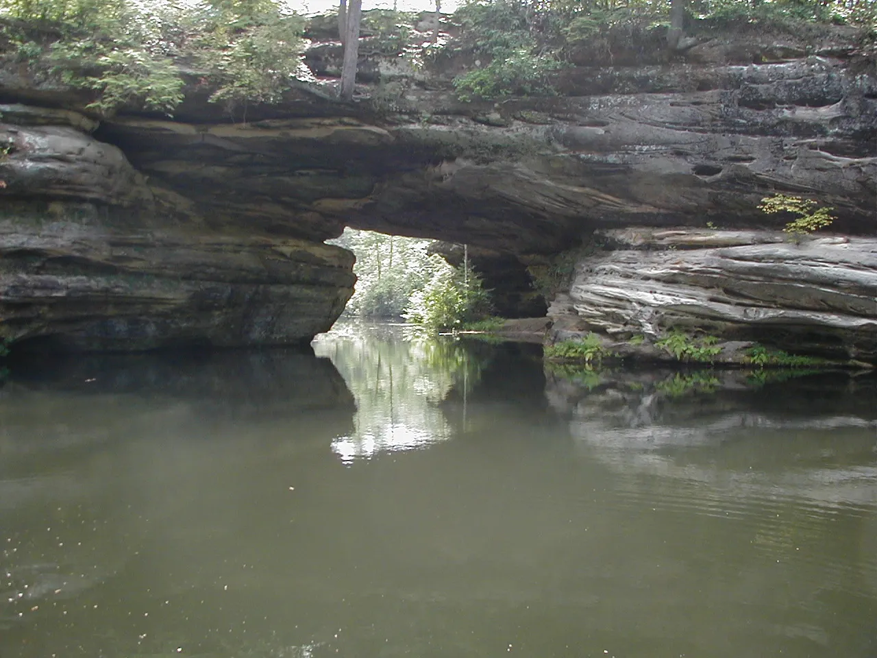 Pickett CCC Memorial State Park: Tennessee's First State Park (By Ichabod, CC BY-SA 3.0)