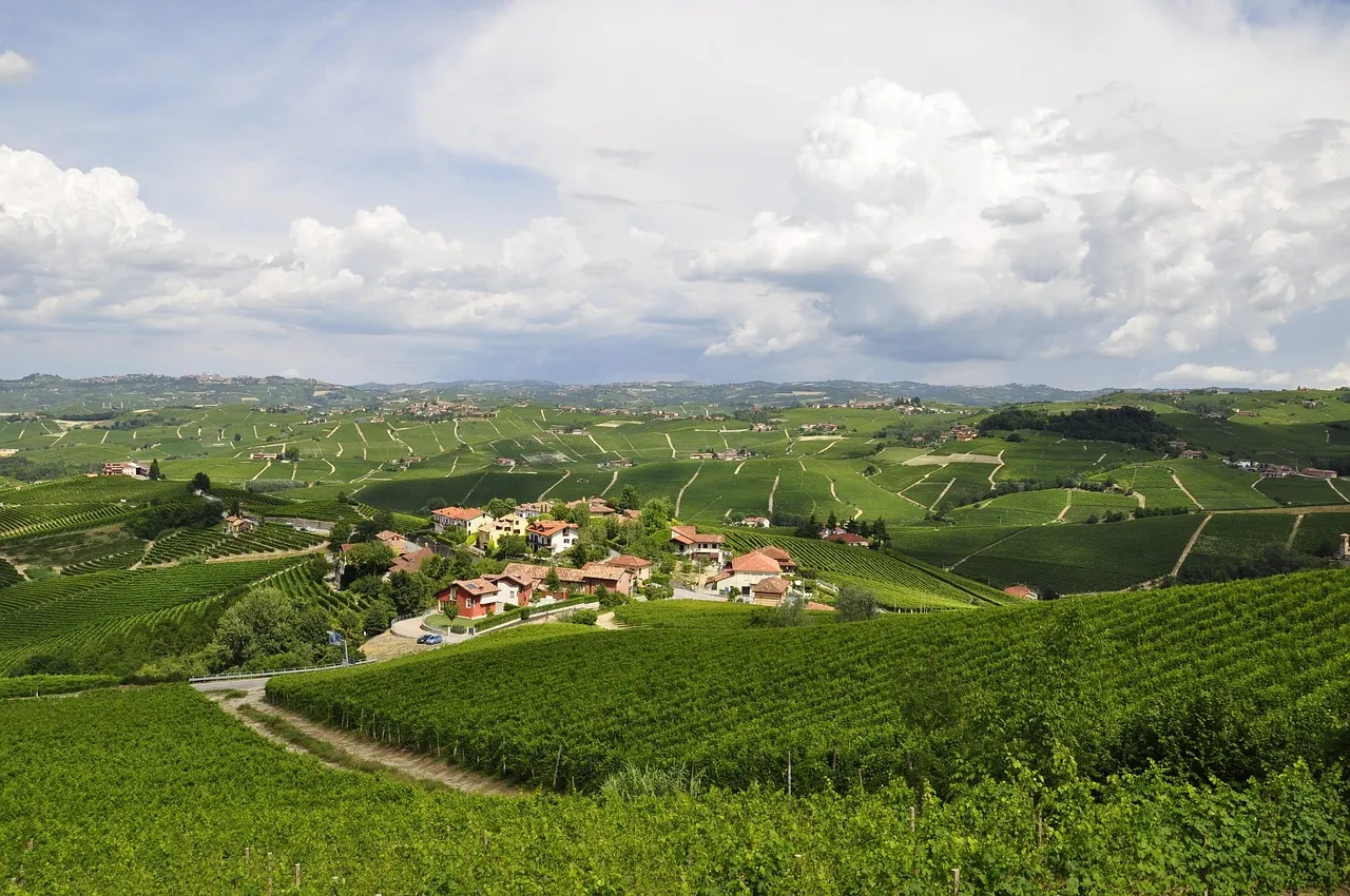 5. Neive, Piedmont: Wine Country Without the Crowds (Image Credits: Pixabay)