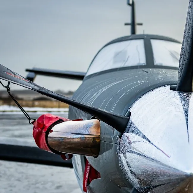 The Danger of Too Much Flex: Flutter (Image Credits: Pexels)
