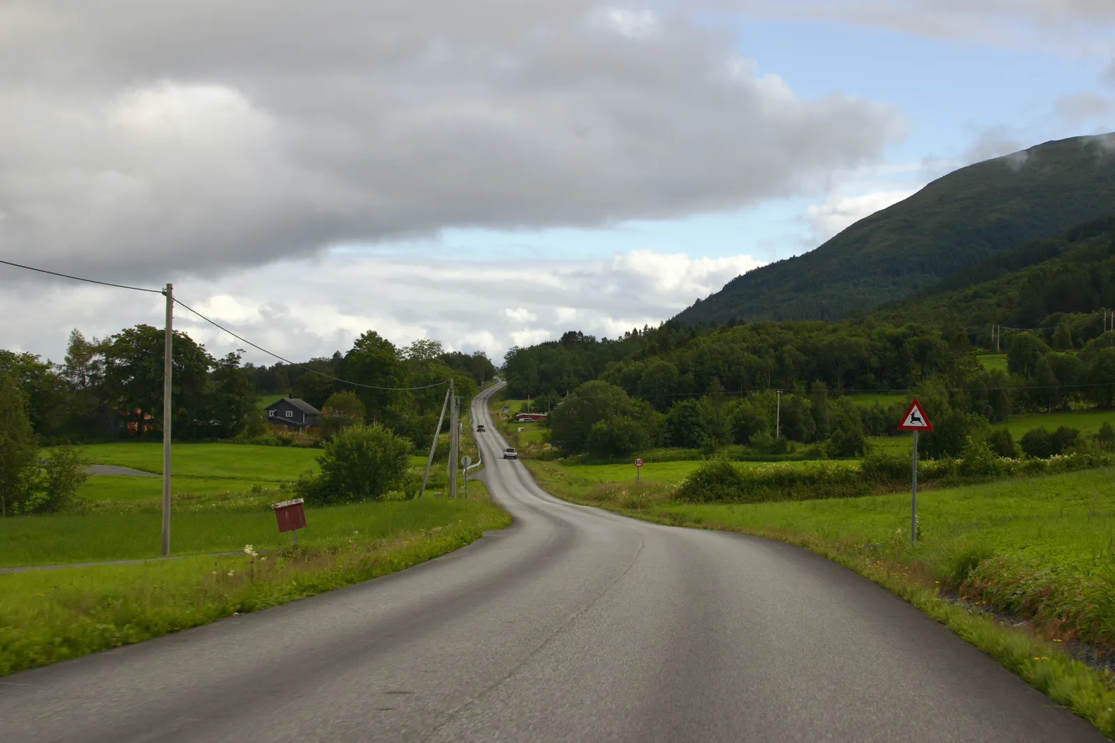 Sweden's Dramatic Switch: A Cautionary Case Study (Image Credits: Unsplash)