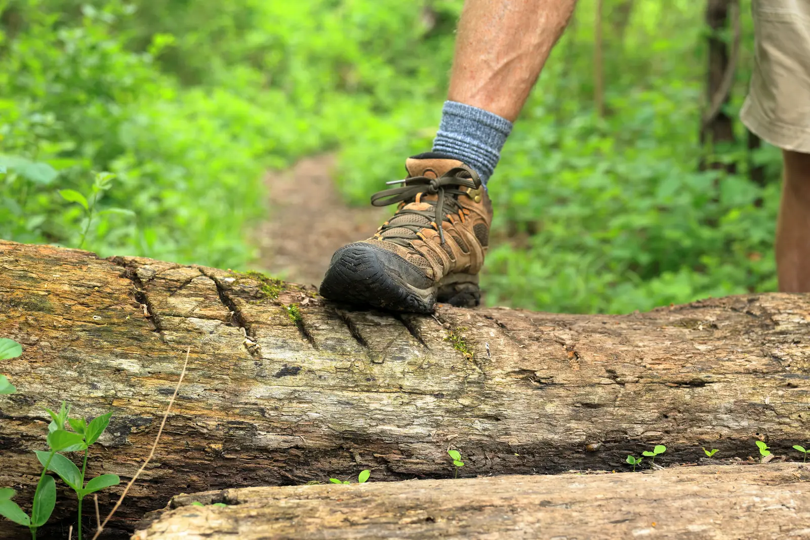 2. High-Quality Hiking Boots and Merino Wool Socks (Image Credits: Pexels)