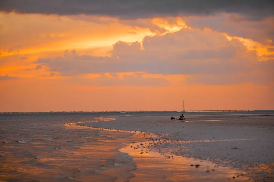 More Than Just a Place to Swim (Image Credits: Pexels)