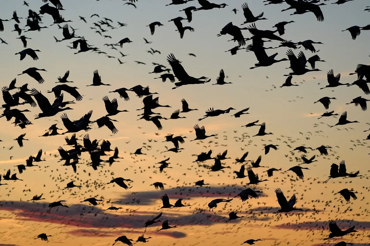 Why the Great Plains Deserves a Second Look (Image Credits: Pixabay)