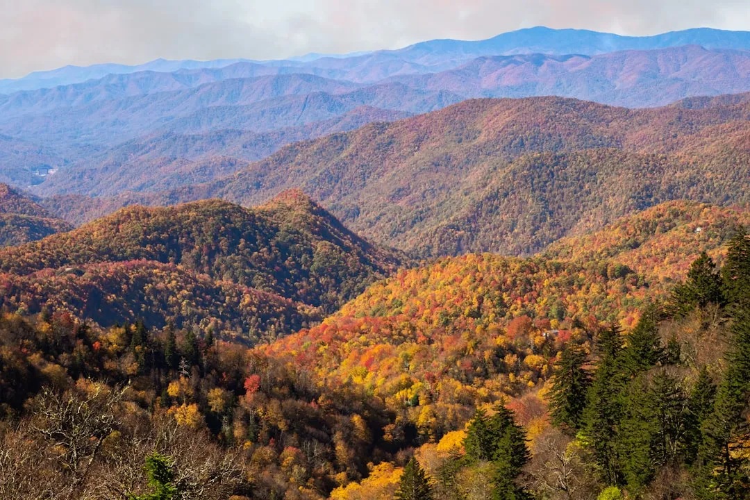 A Color Season That Lasts for Weeks, Not Days (Image Credits: Unsplash)