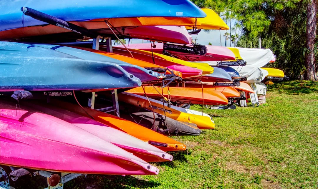 On the Water: Kayaks, Harbour Buses, and SUP Boards (Image Credits: Unsplash)
