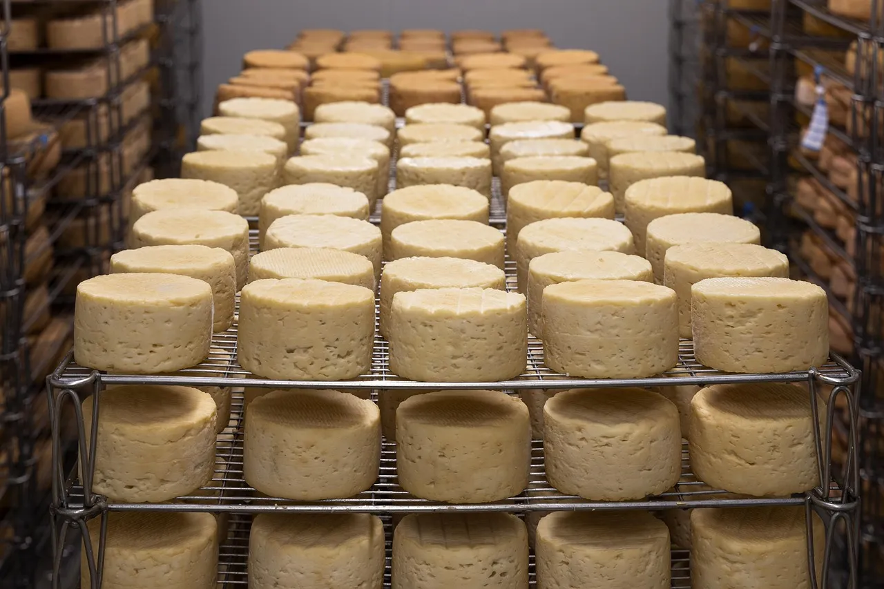 The Cheese Culture Is Its Own Culinary Universe (Image Credits: Pixabay)