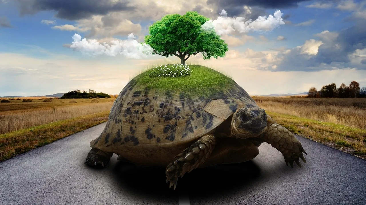 The Environmental Case for Consolidating Trips (Image Credits: Pixabay)