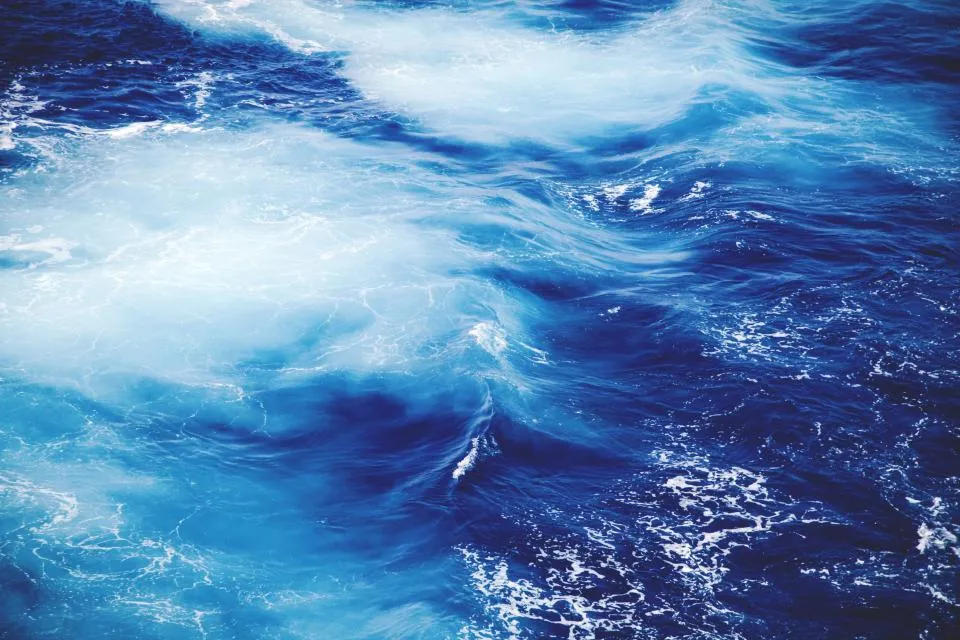 Water Signs and the Pull of the Past (Image Credits: Stocksnap)