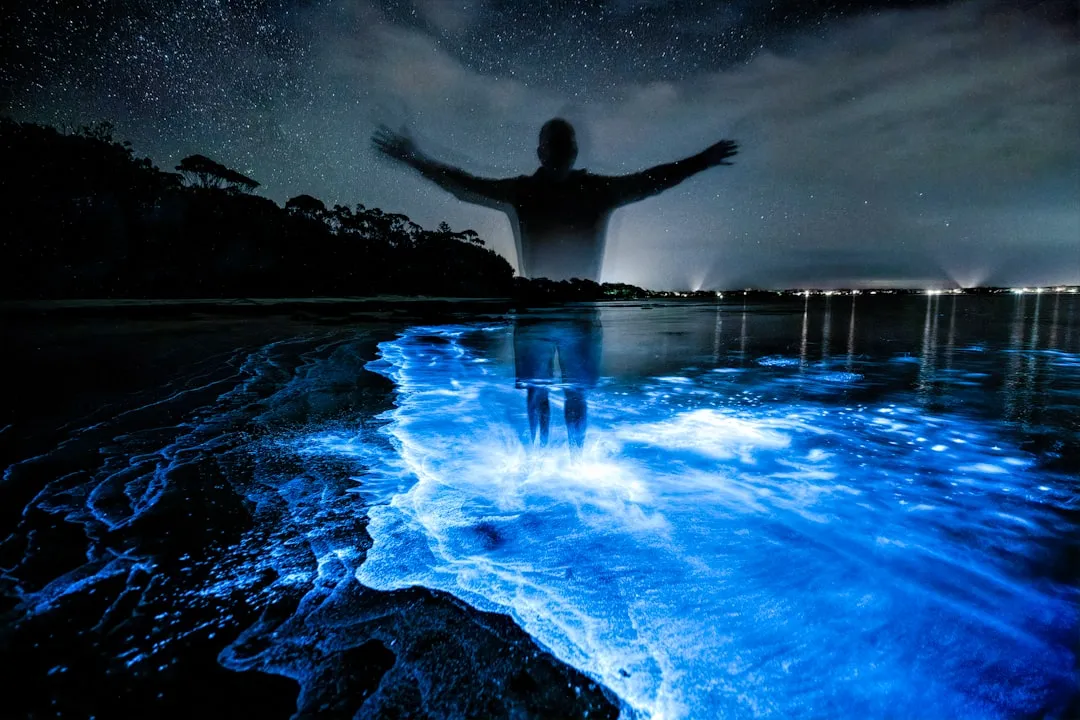 Why Bioluminescent Bays Are So Rare (Image Credits: Unsplash)